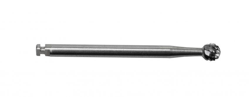 IMG 0198 10568