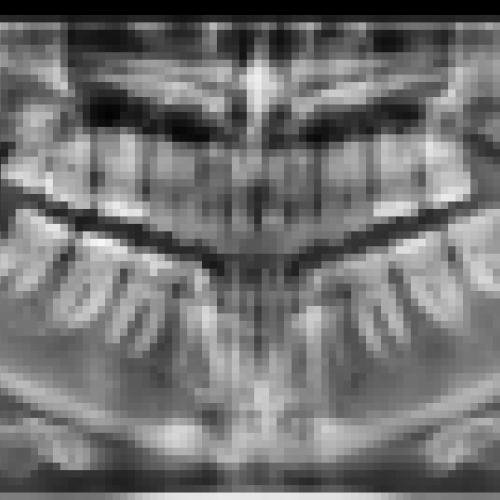px20210105 150207 4677 98246706