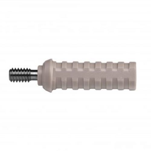PILAR PROVISIONAL PEEK CON TORNILLO PARA HEXÁGONO INTERNO (IMPLANTE DVI)